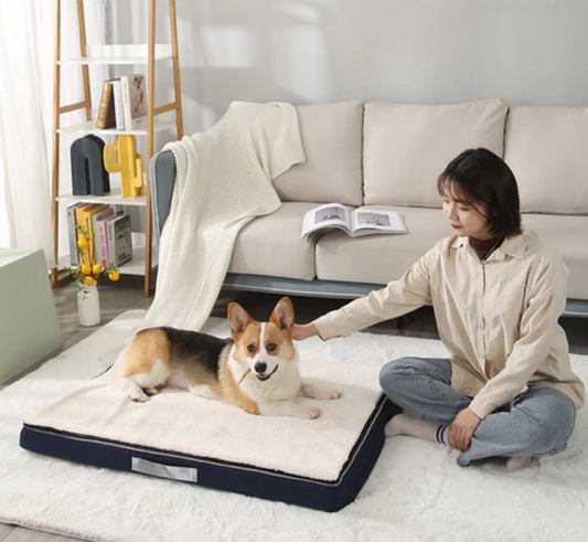 The Ultimate Guide to Waterproof Memory Foam Dog Beds